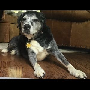 Meet your Posher, Lee